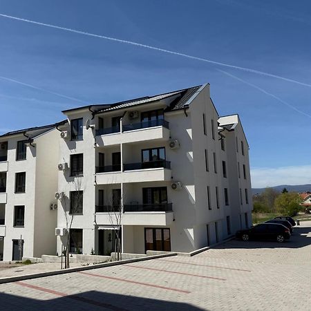Aleksandar Apartman Sokobanja 외부 사진