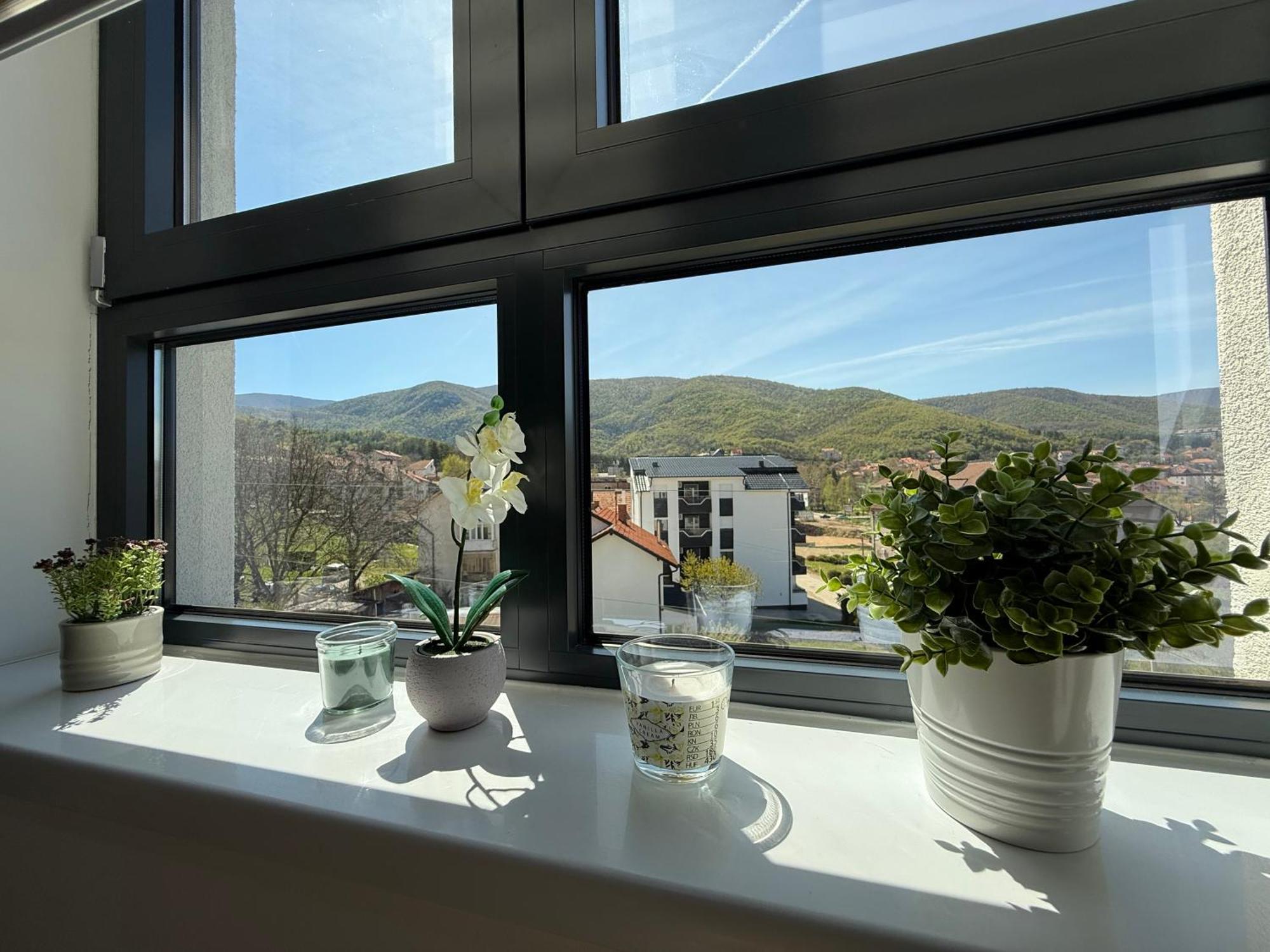 Aleksandar Apartman Sokobanja 외부 사진